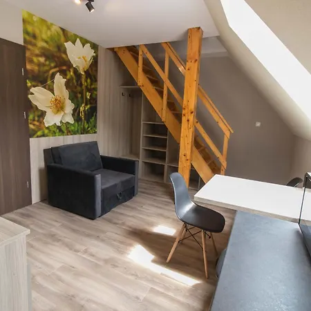 Arga 公寓式酒店 3*