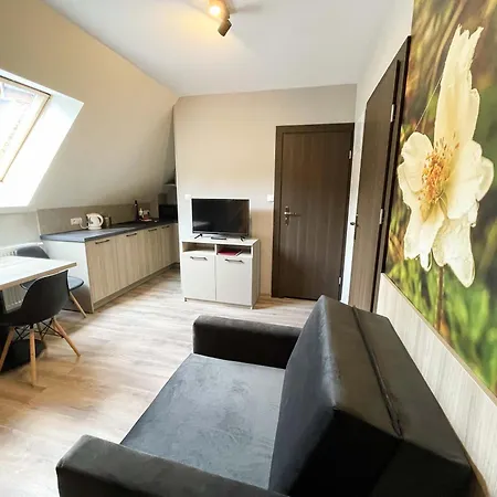 公寓式酒店 Arga Piwniczna-Zdroj